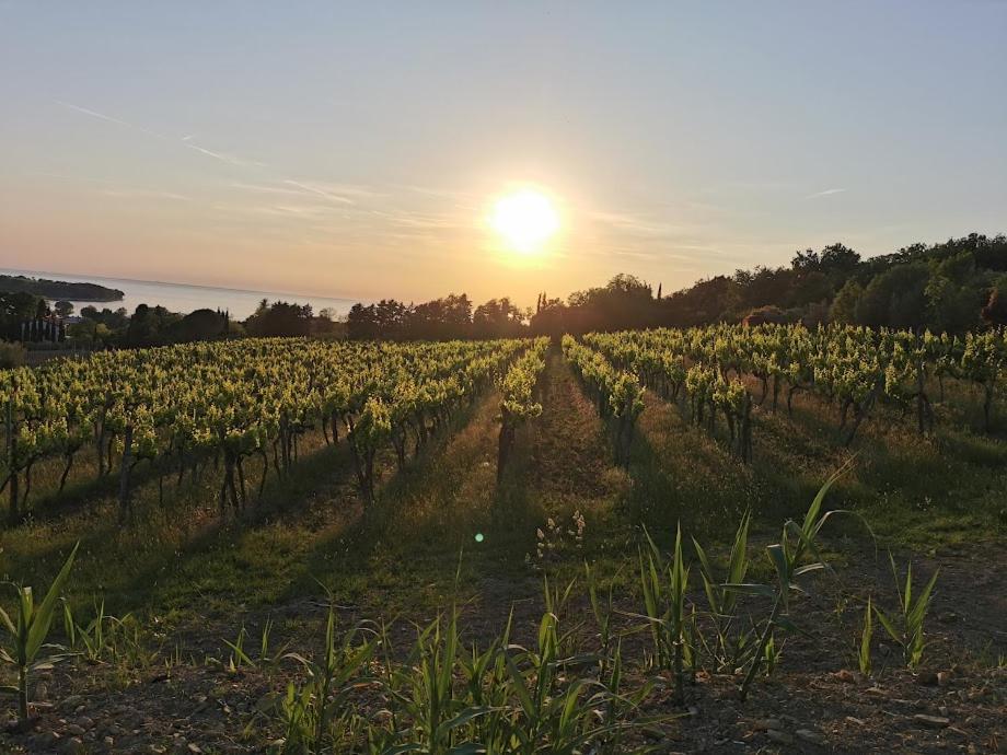 Apartmán Agava Sunset Ankaran Exteriér fotografie